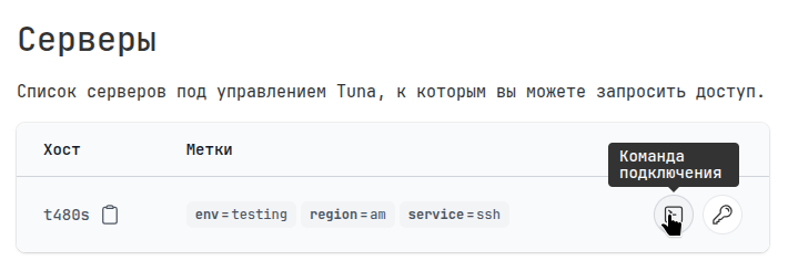 user_server_cmd_view