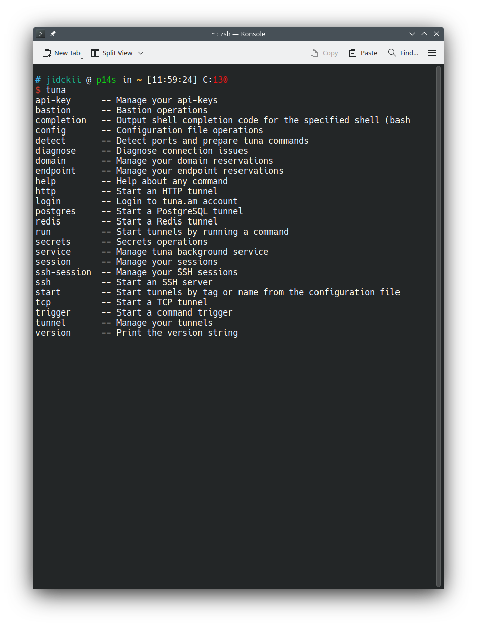 Изображение консоли c запущенной tuna cli