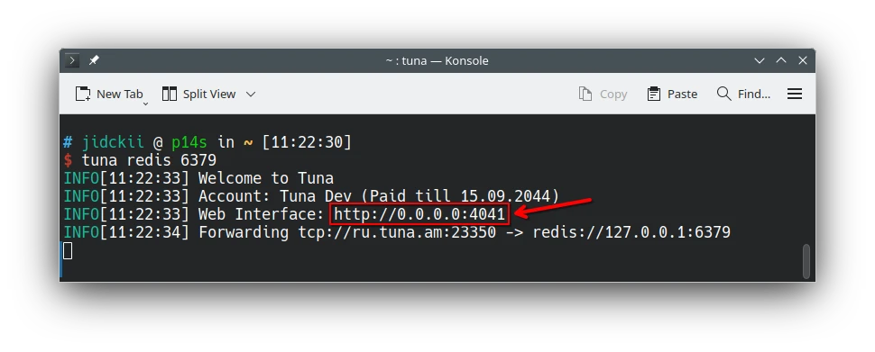 cli_redis